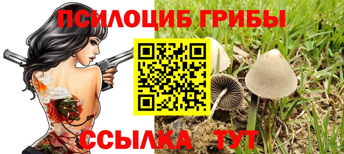 Псилоцибиновые грибы Psilocybine cubensis  Вход с VPN  Серов 